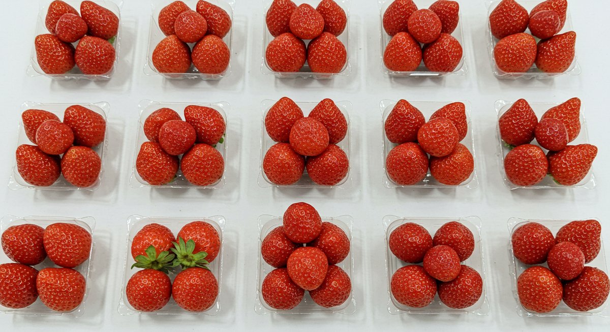 benihoppe-sugar-content-sweets-2