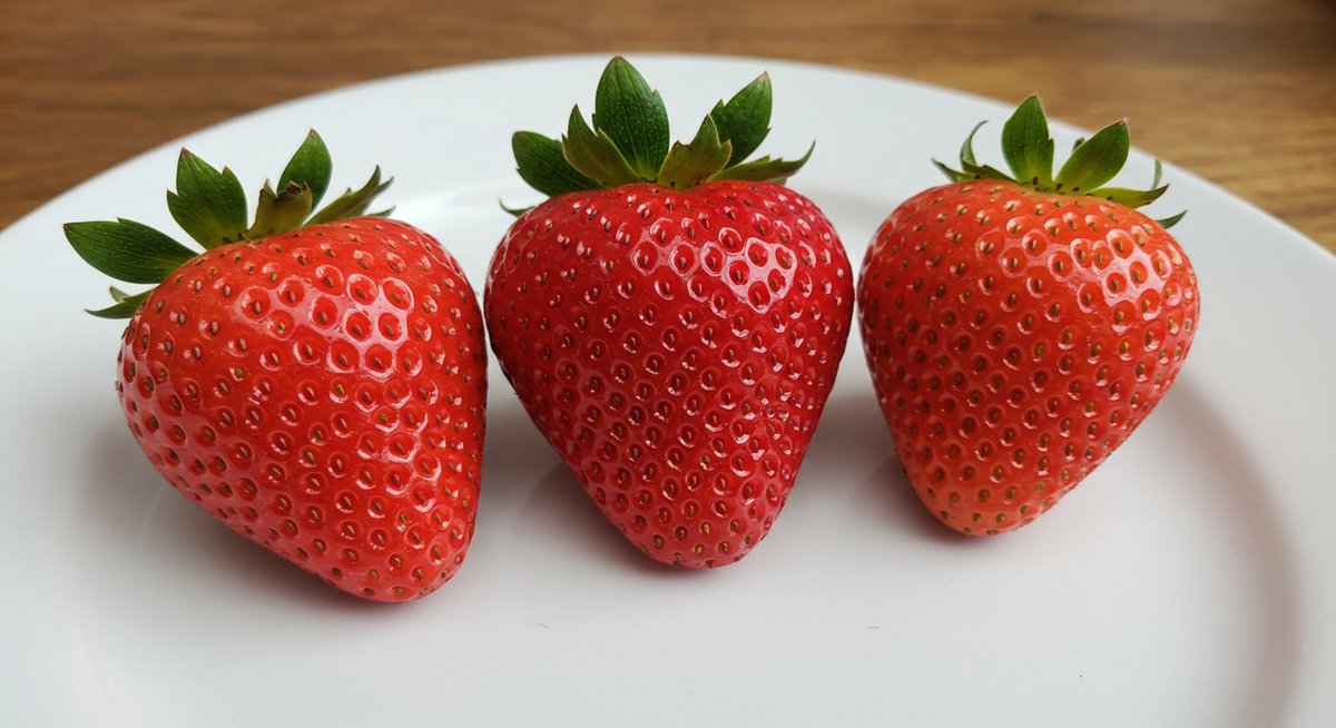 strawberry-premium-varieties-sweets-1